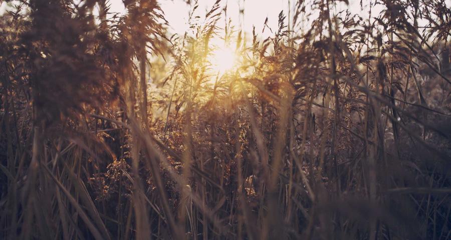 Declaración de la renta autónomo IRPF 2026