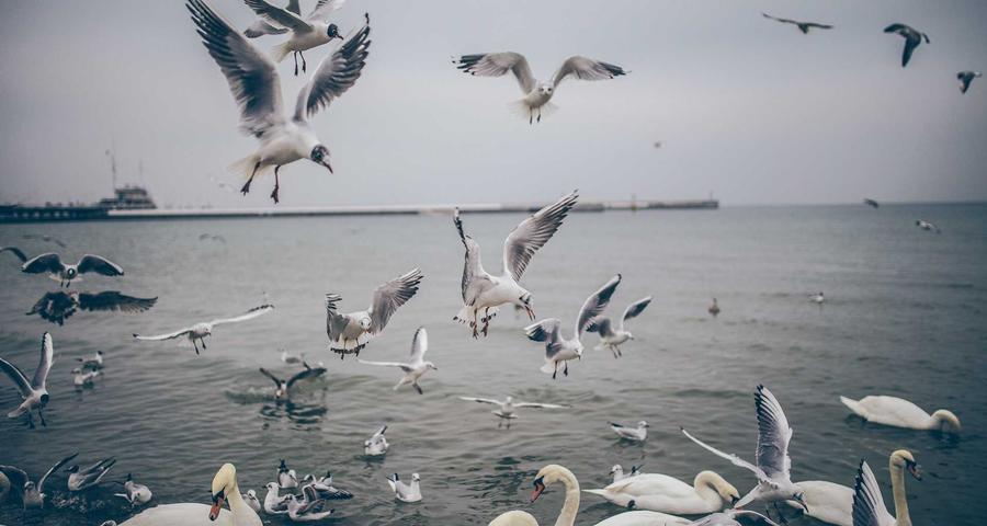 Modelo 720 bienes extranjero autónomos declaración