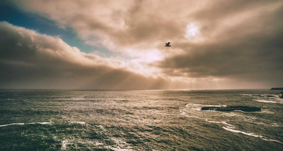 Numeración correlativa facturas autónomos series formatos válidos