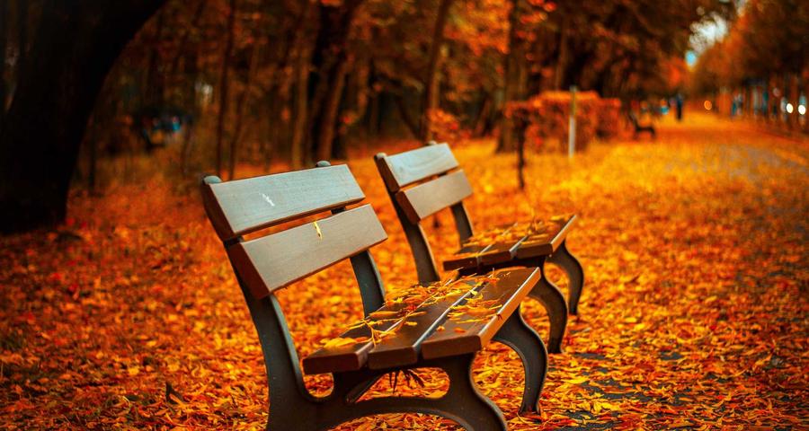 Compensar pérdidas actividad autónomo IRPF base imponible