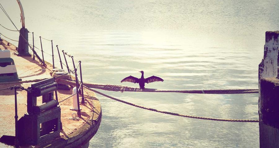 Contratar familiar autónomo colaborador familiar contrato laboral