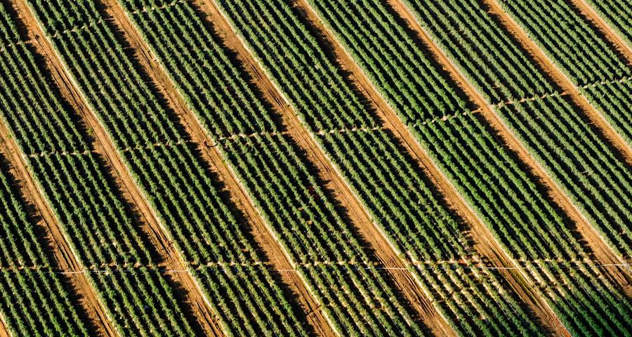 Gastos deducibles trabajar desde casa autónomo alquiler suministros